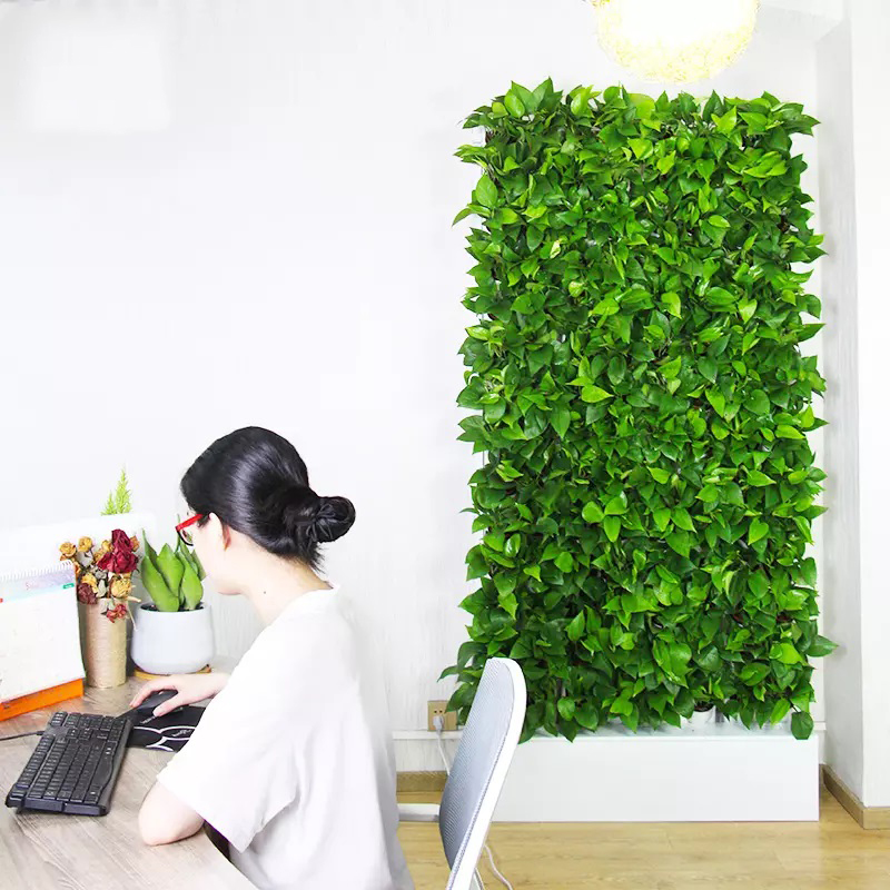 Hydroponic Kit - Hydroponics Indoor Kit 2 Square Meters