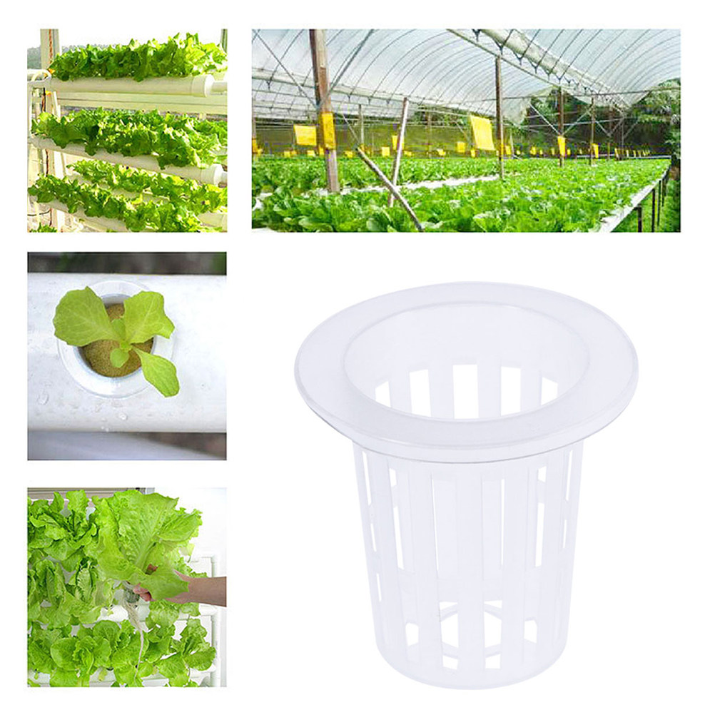 10pcs Hydroponic Vegetable Net - Plant Pot review and price