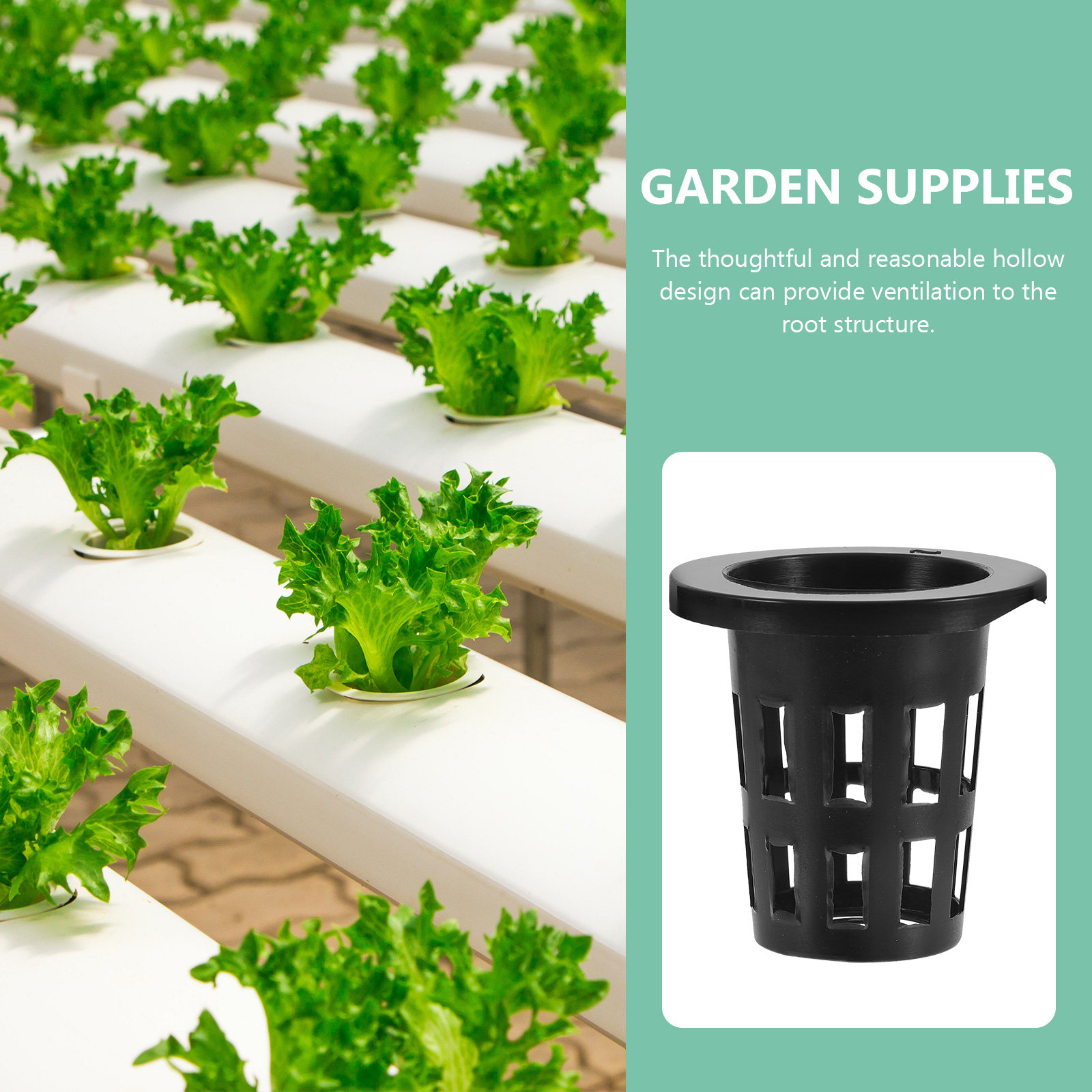 50Pcs Plastic Planting Baskets - Plant Pot review and price