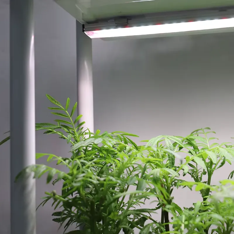 Movable Vertical Grow 3 Level  - Indoor Herb Garden review and price
