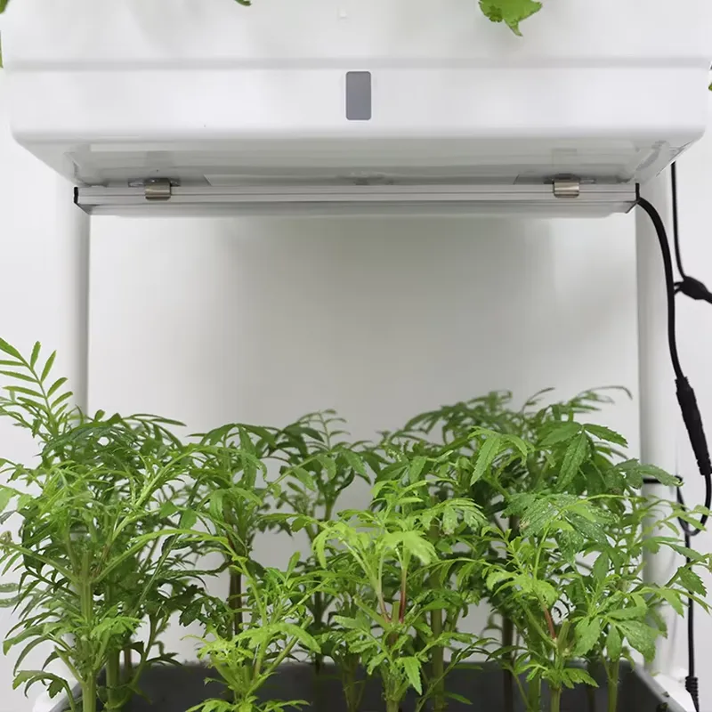 Movable Vertical Grow 3 Level  - Indoor Herb Garden review and price