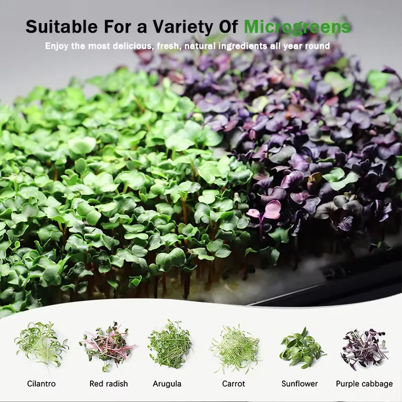 Microgreens Self Watering Hydr - Hydroponic Kit review and price
