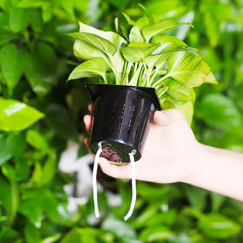 Hydroponics Indoor Kit 2 Squar - Hydroponic Kit review and price
