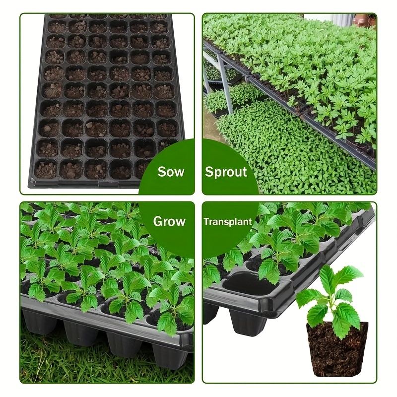 10-20 Nursery Tray, Greenhouse - Seed Starter Tray review and price