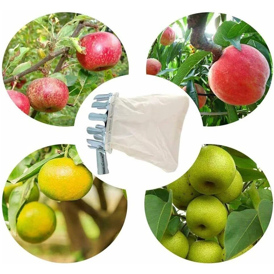 3-in-1 Fruit Harvesting Tool S - Grow Bag review and price