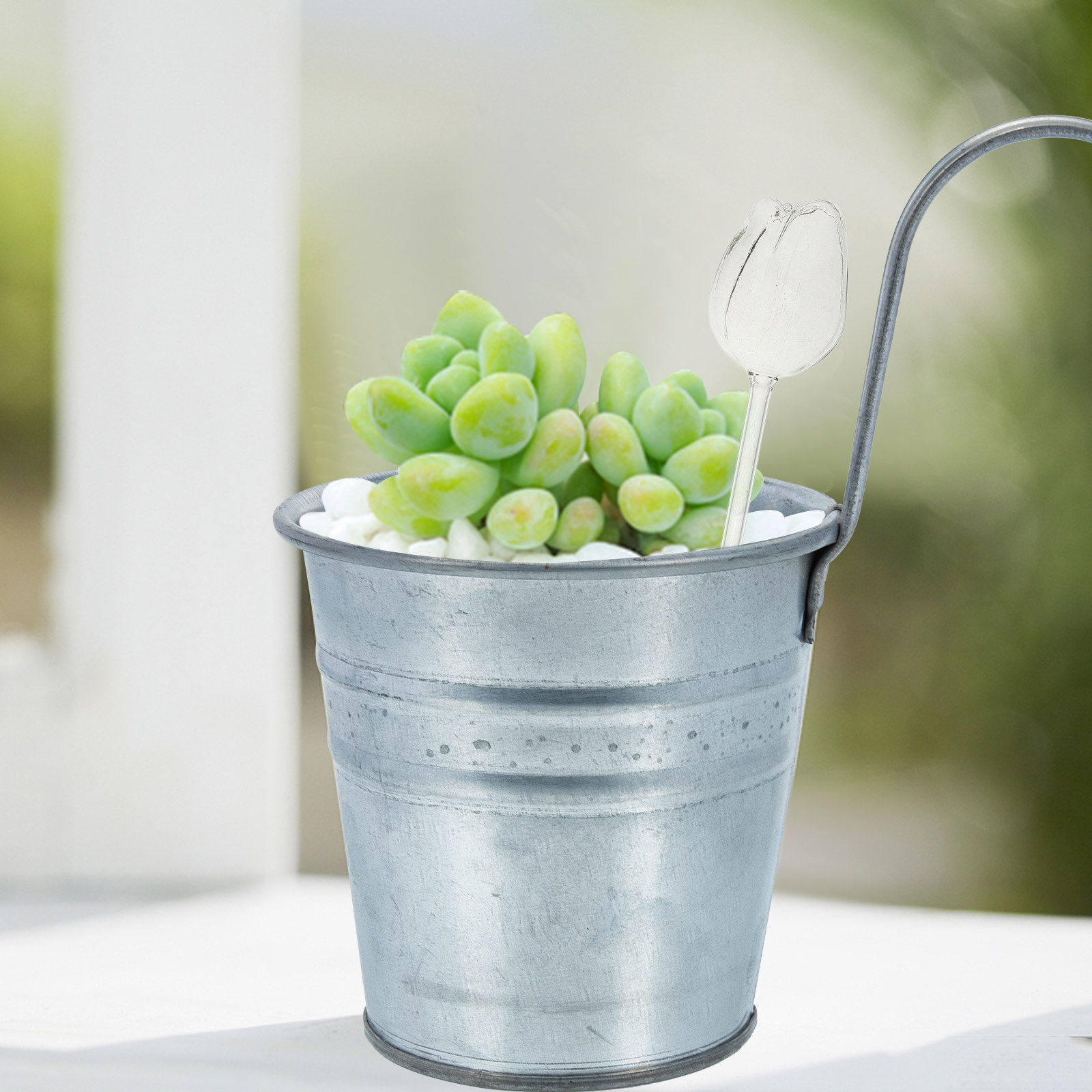 2Pcs Premium High Borosilicate - Self Watering Planter review and price