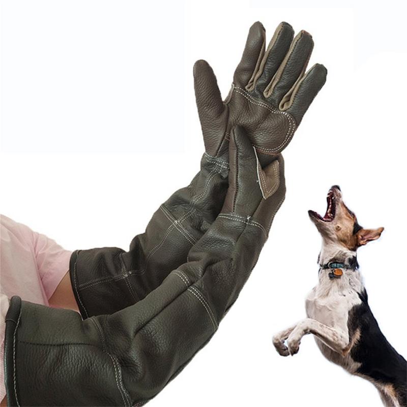 Pet Gloves Cowhide Leather Ant - Garden Gloves review and price