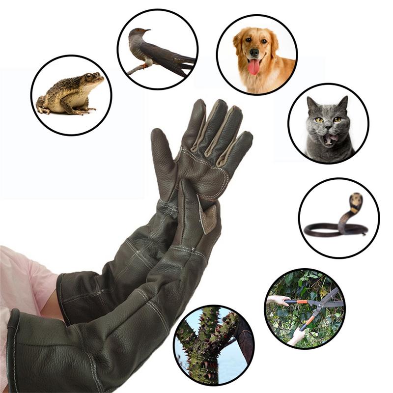 Pet Gloves Cowhide Leather Ant - Garden Gloves review and price