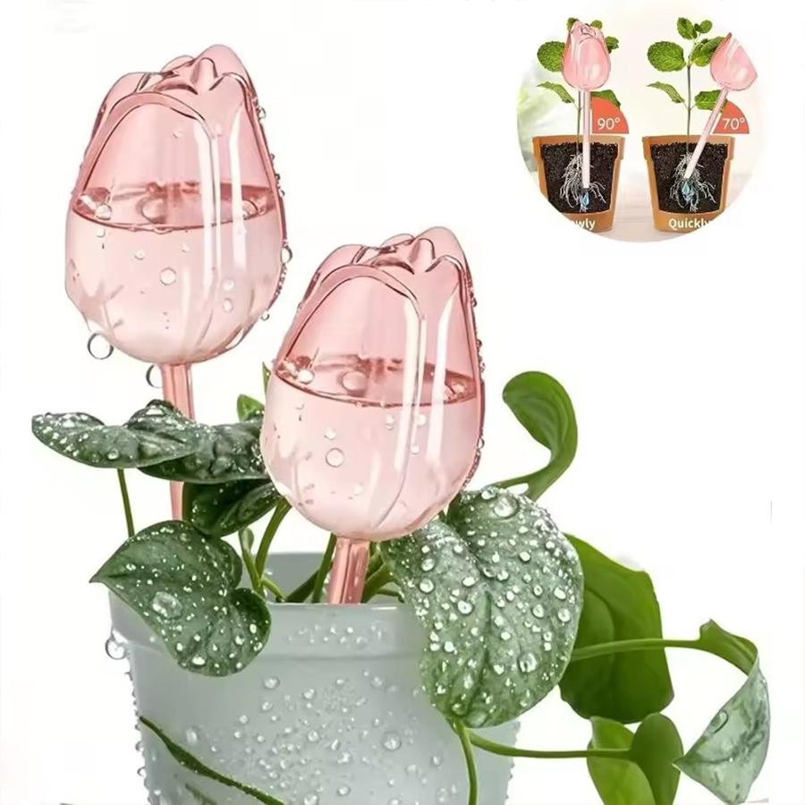 Transparent Thick PET Tulip Sh - Indoor Herb Garden review and price