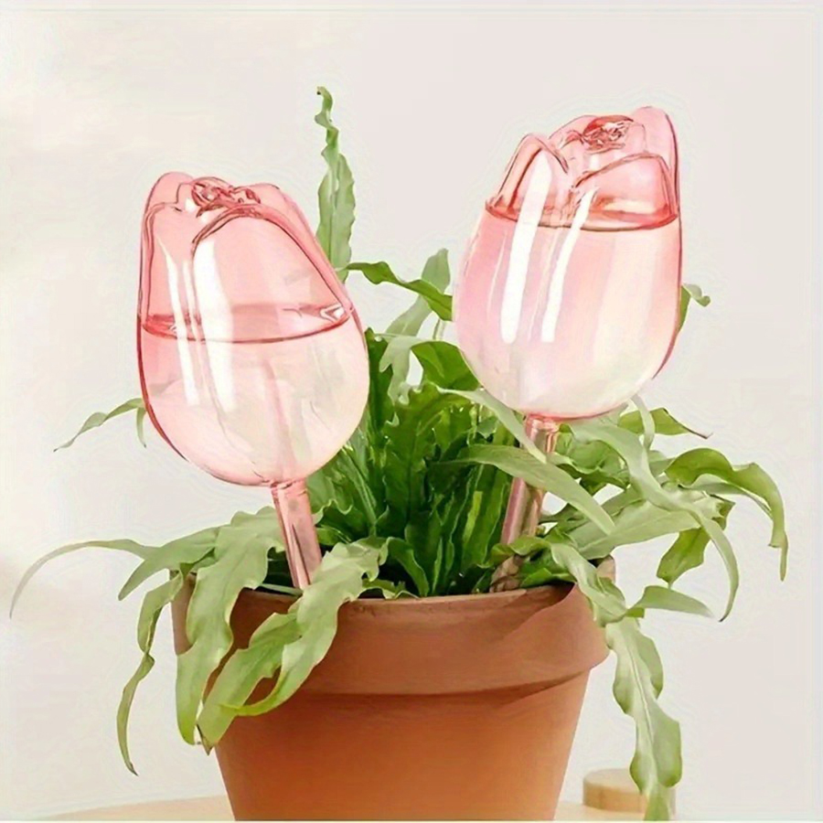 Transparent Thick PET Tulip Sh - Indoor Herb Garden review and price