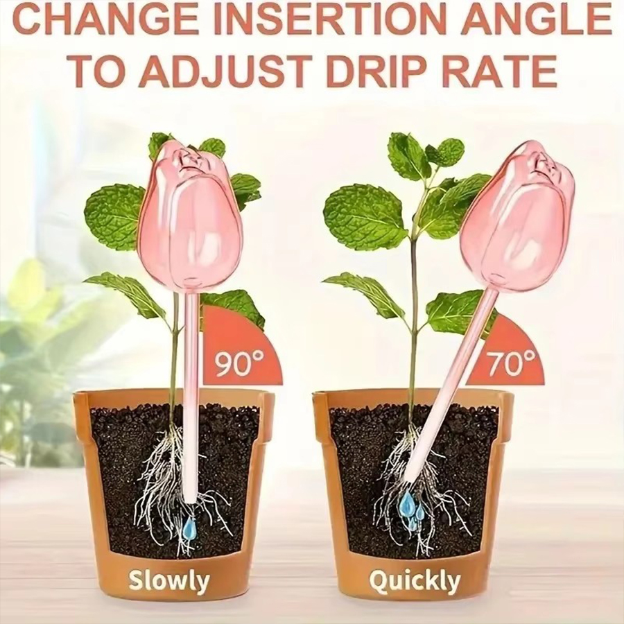 Transparent Thick PET Tulip Sh - Indoor Herb Garden review and price