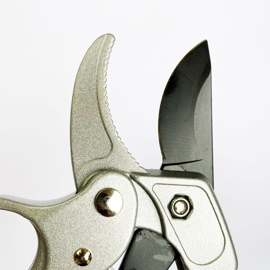 Professional Ratchet Pruning S - Pruning Shears review and price