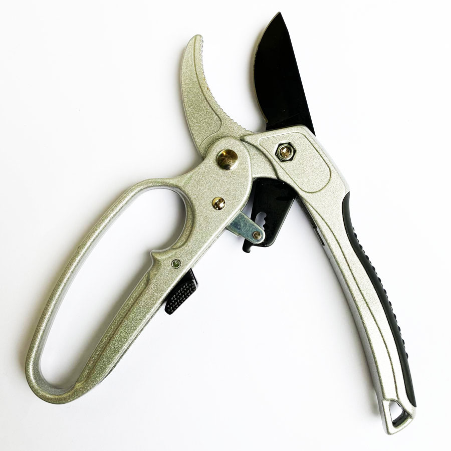 Professional Ratchet Pruning S - Pruning Shears review and price