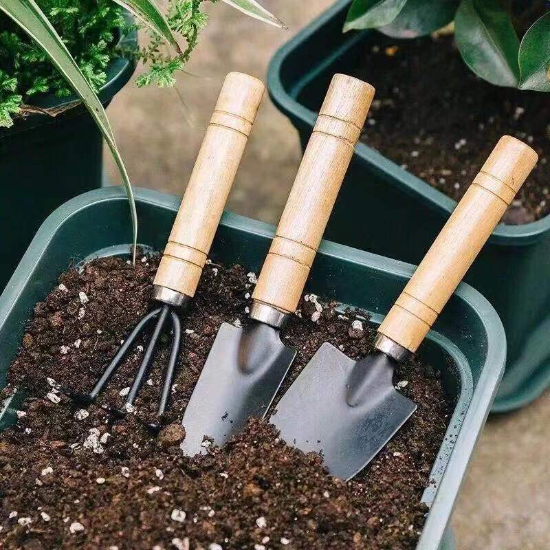 3PC/1Set Mini Gardening Tools  - Indoor Herb Garden review and price