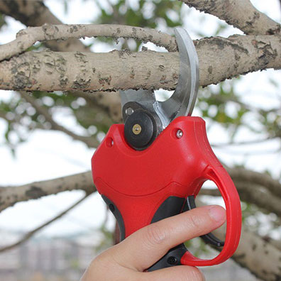 High-Quality Non-Slip Handle G - Pruning Shears review and price