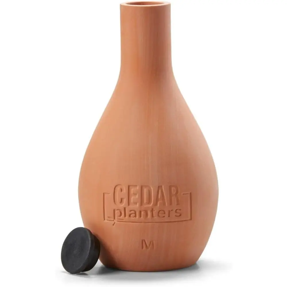 Self-Watering Ceramic Olla Pot - Self Watering Planter review and price