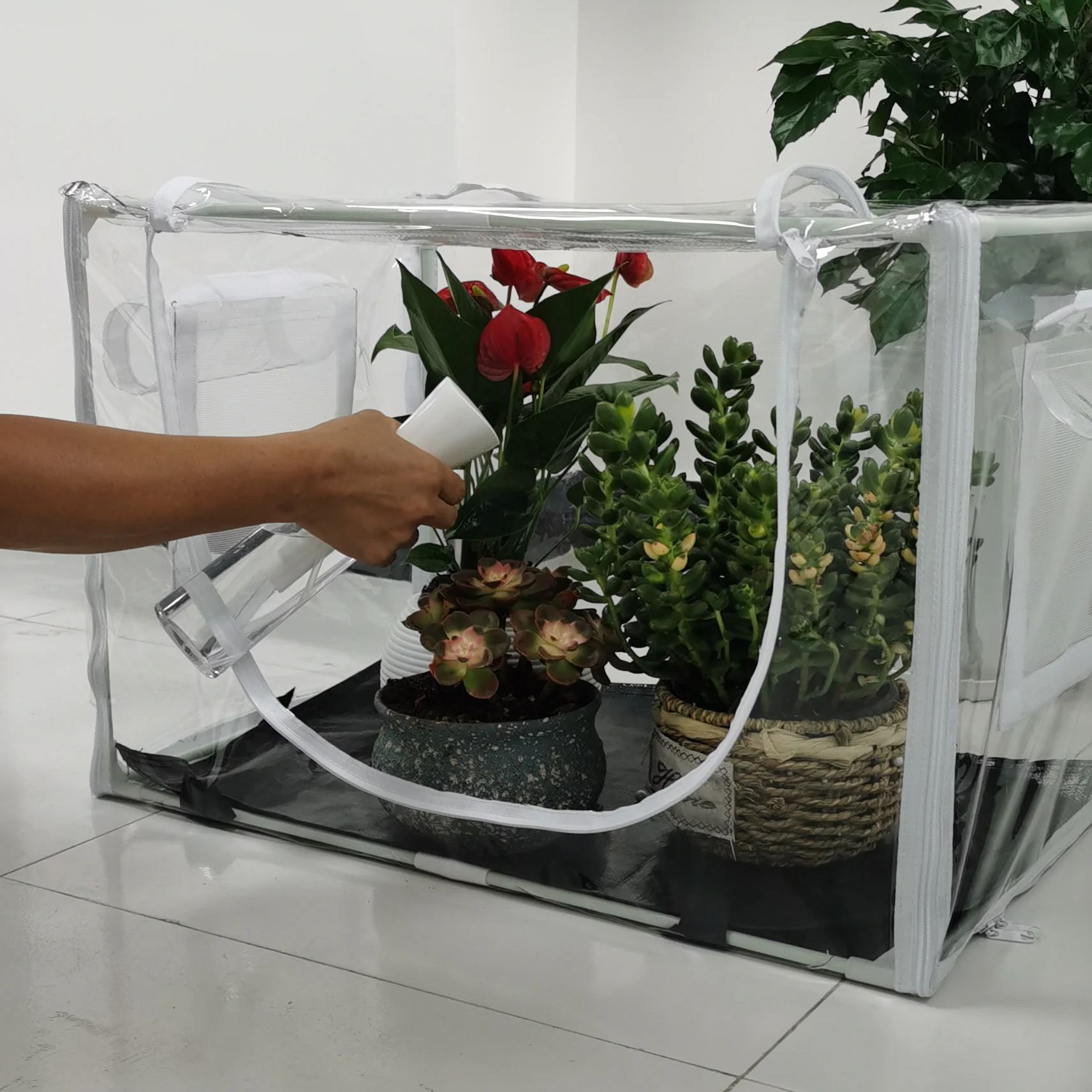 Compact Indoor/Outdoor Greenho - Grow Bag review and price