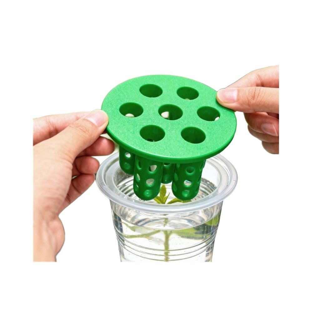4pcs Green Onion Regrower Spro - Hydroponic Kit review and price