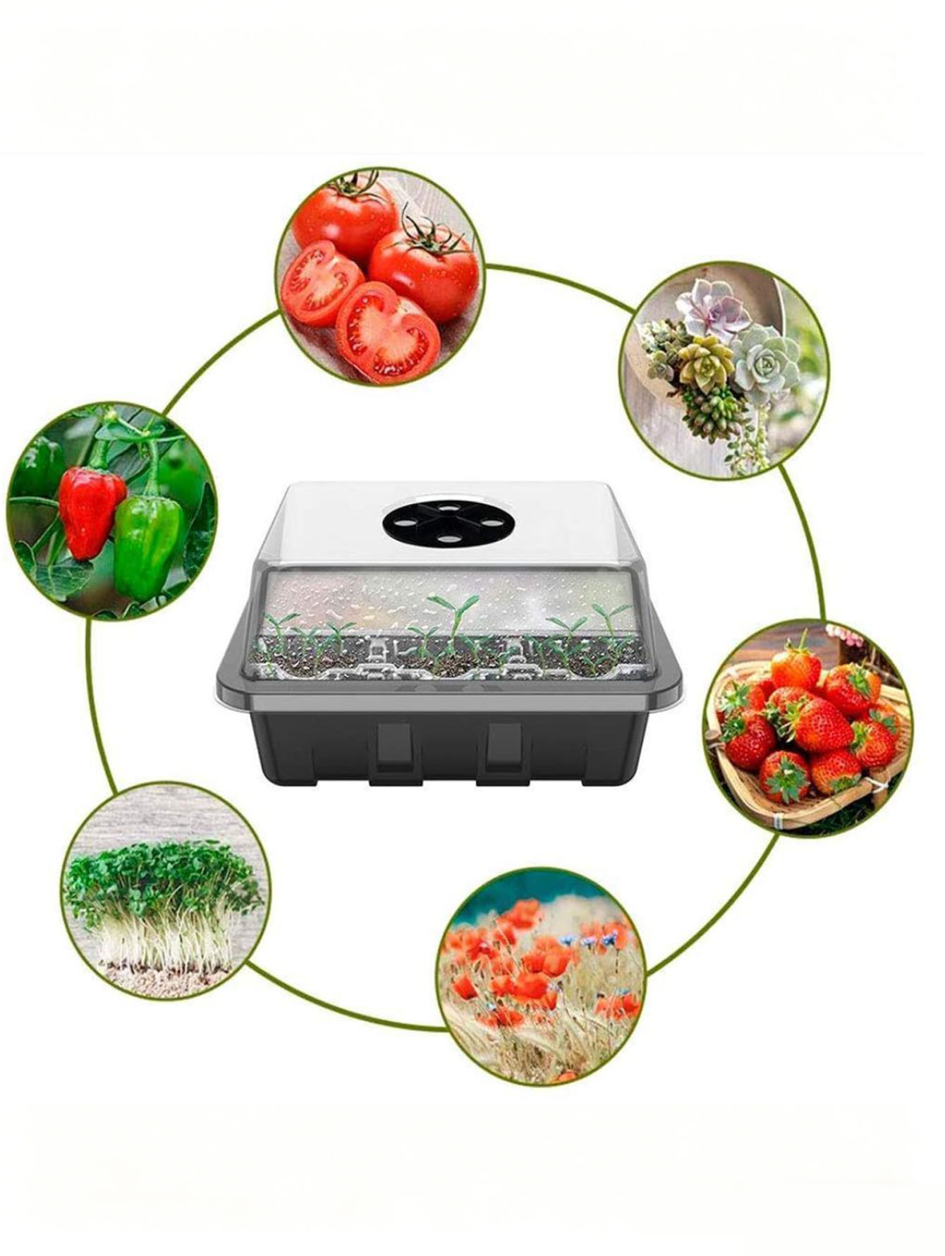 1/2pc 6/12-Hole Seedling Tray, - Seed Starter Tray review and price