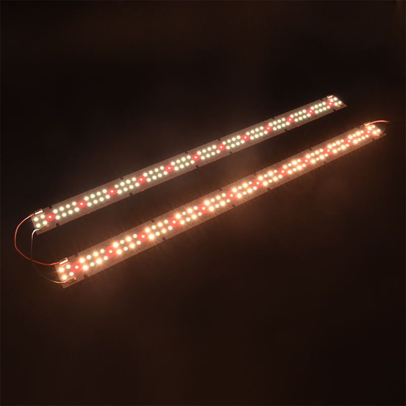 High Quality IP55 Rated COB LE - Grow Light Led review and price