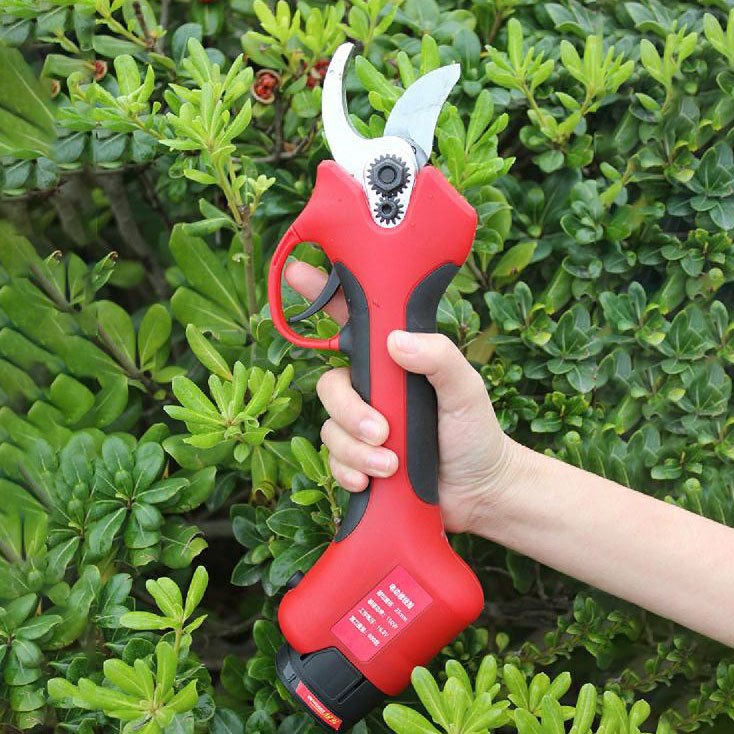 25-40mm Cutting Orchard Vineya - Pruning Shears review and price