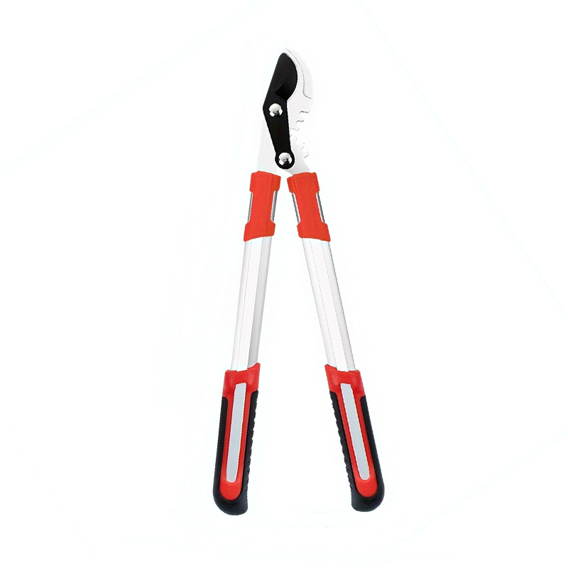 Heavy-duty garden pruning shea - Pruning Shears review and price