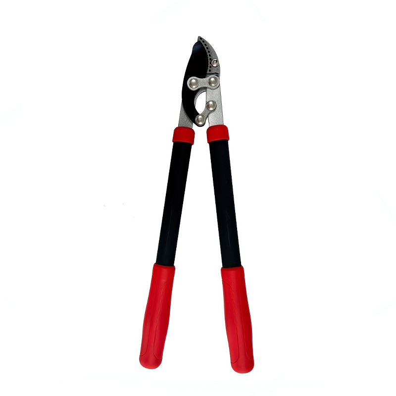Heavy-duty garden pruning shea - Pruning Shears review and price