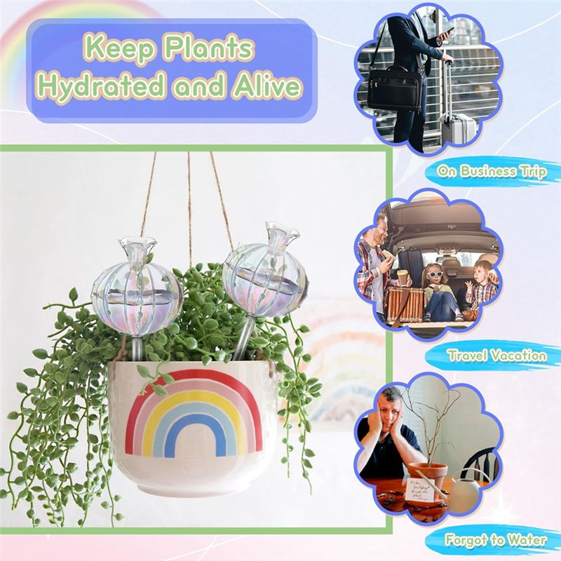 AA94-Plant Watering Bulbs Plan - Self Watering Planter review and price