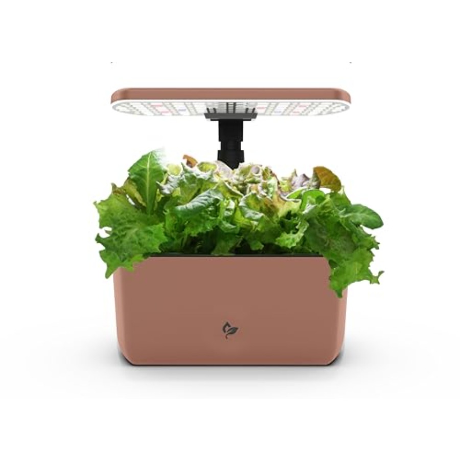 Indoor hydroponic garden for y - Indoor Herb Garden review and price