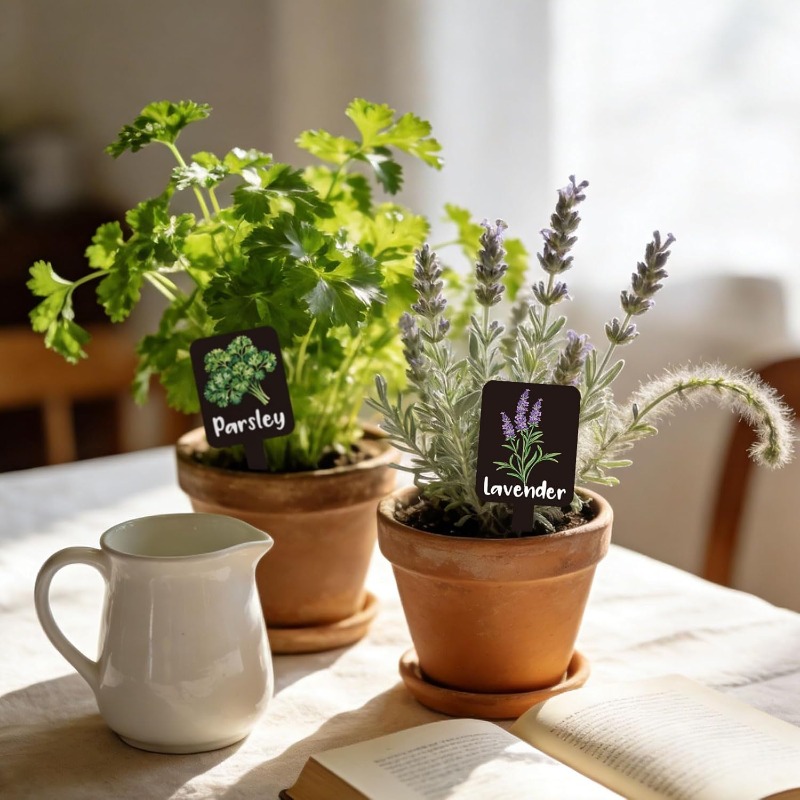 24pcs Plant Label Set Herb Gar - Indoor Herb Garden review and price