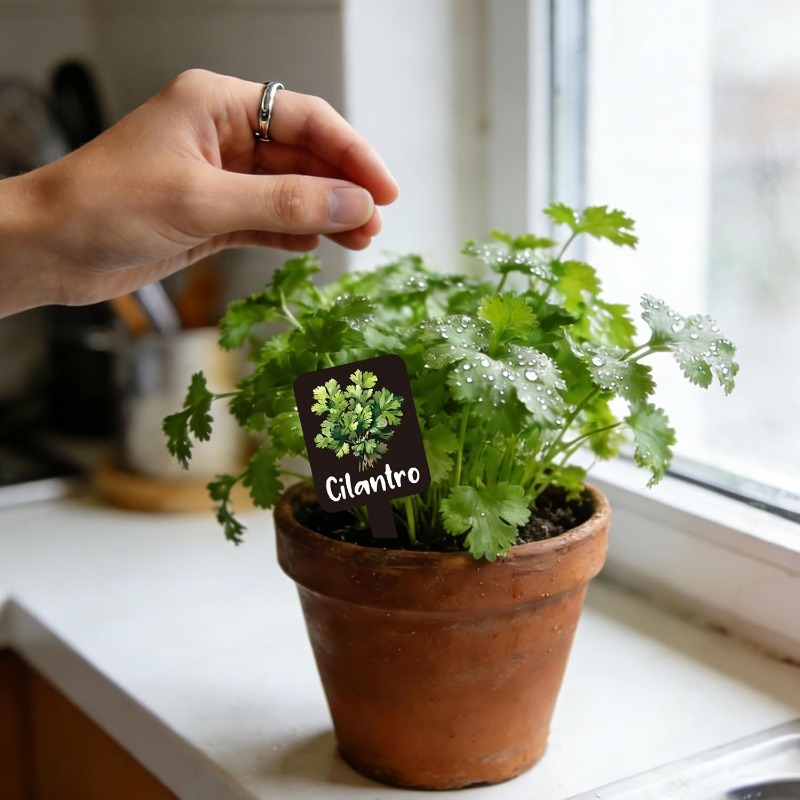 24pcs Plant Label Set Herb Gar - Indoor Herb Garden review and price