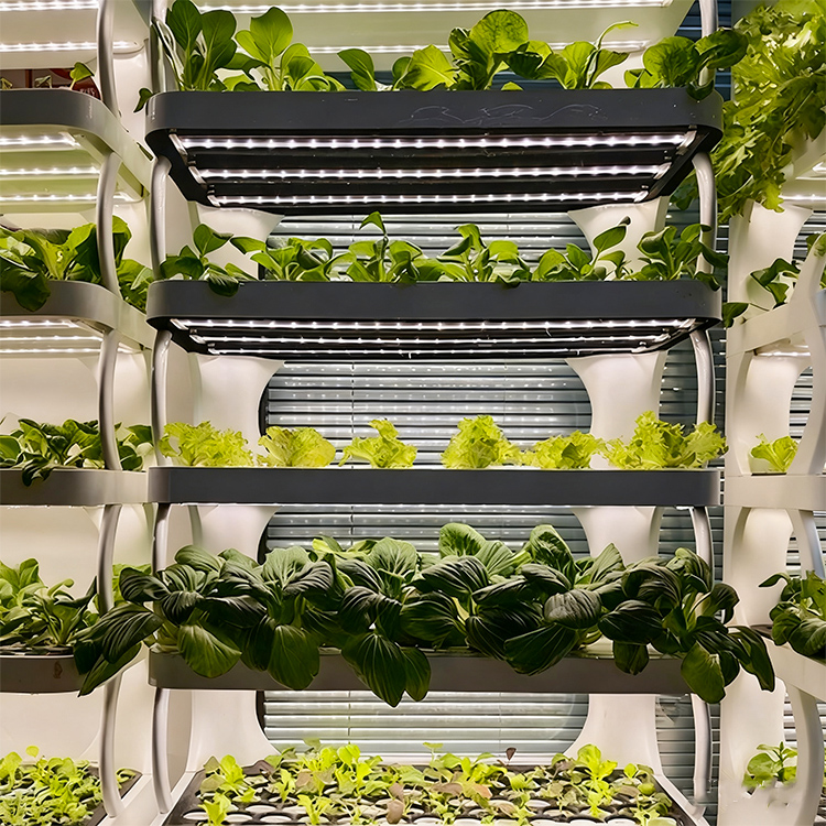 Intelligent Indoor Garden Plan - Grow Light Led review and price
